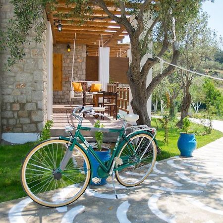 Villa To Stolidi tis Psinthou Psinthos Esterno foto
