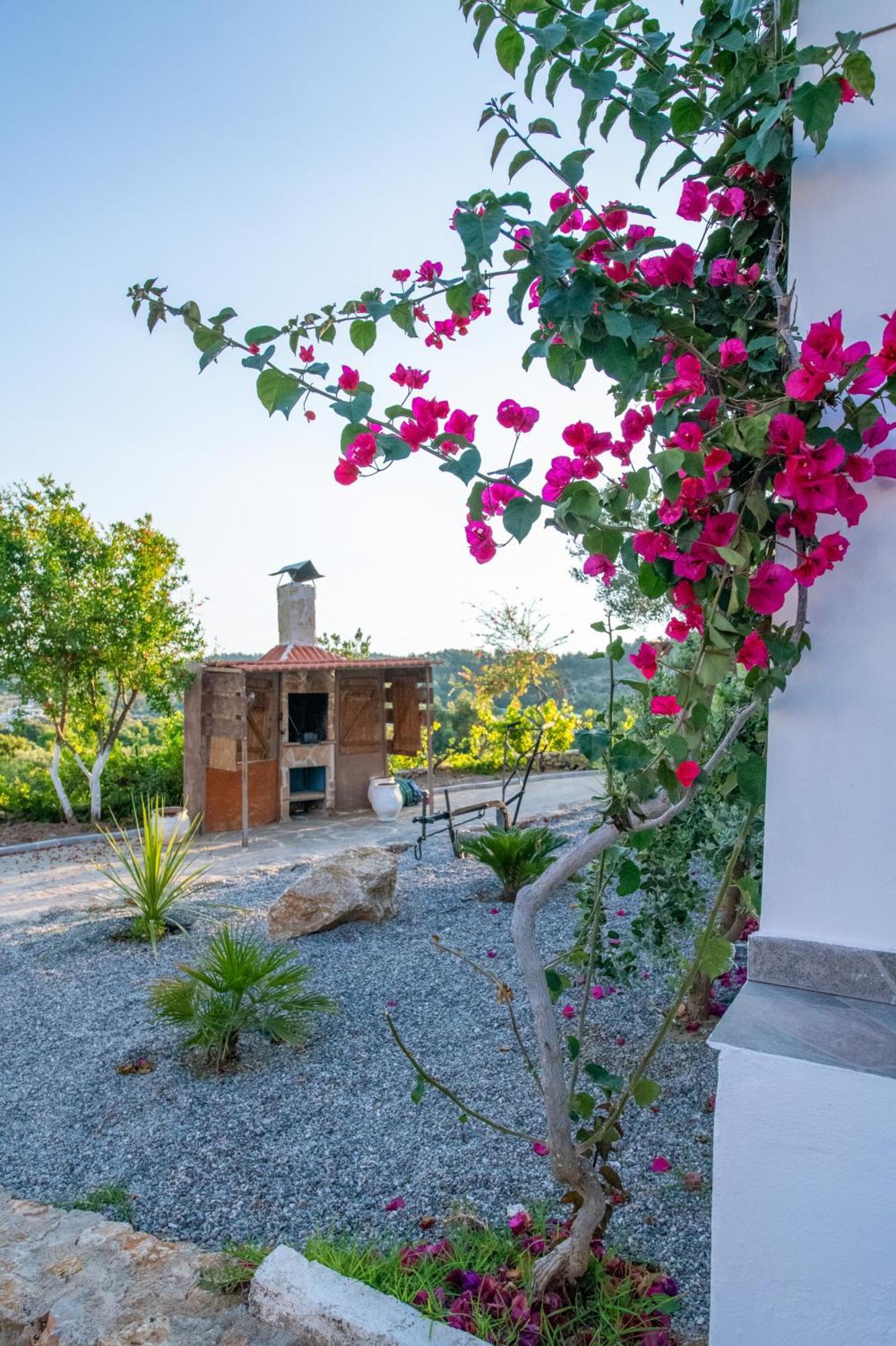 Villa To Stolidi tis Psinthou Psinthos Esterno foto