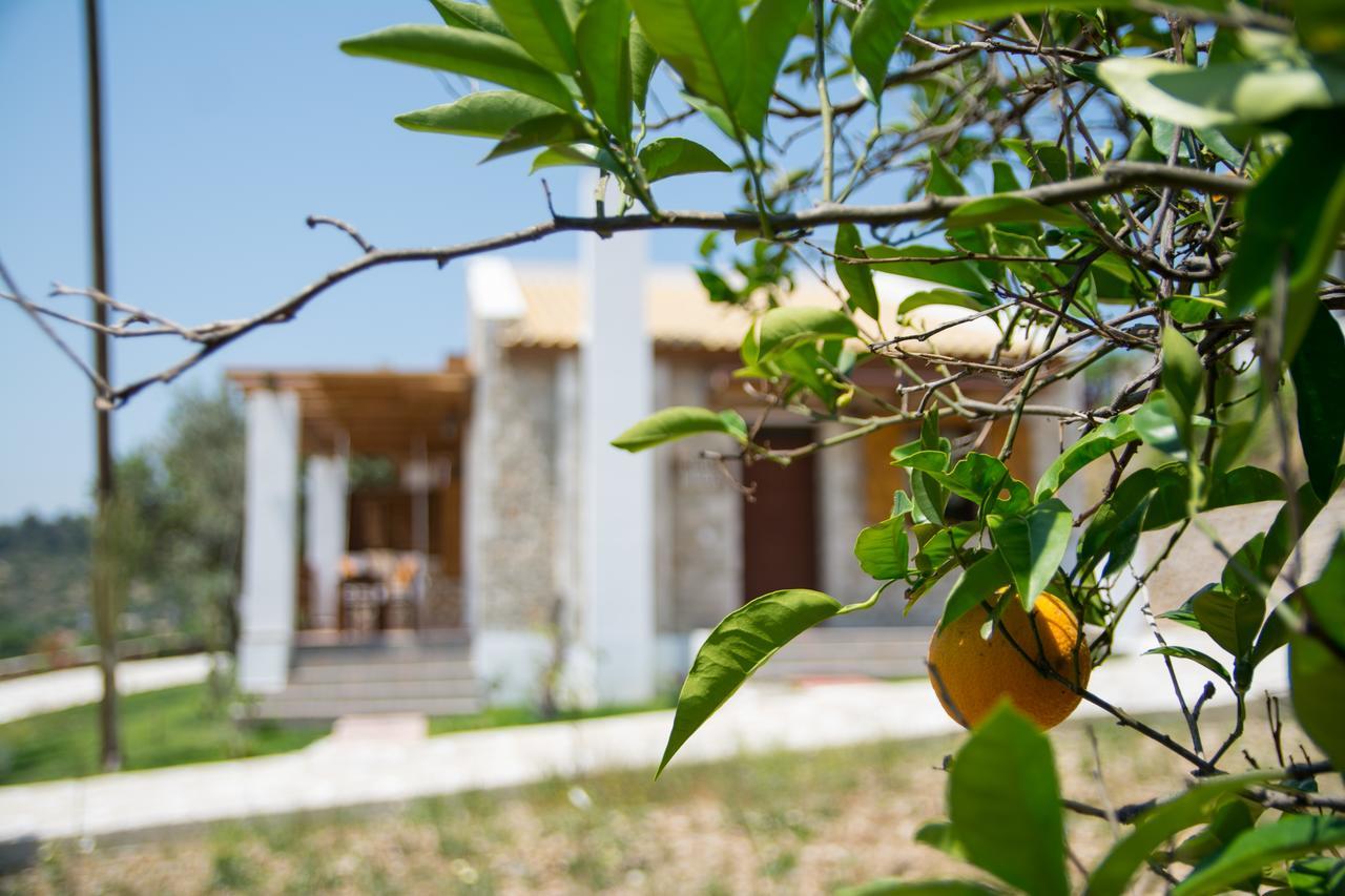 Villa To Stolidi tis Psinthou Psinthos Esterno foto